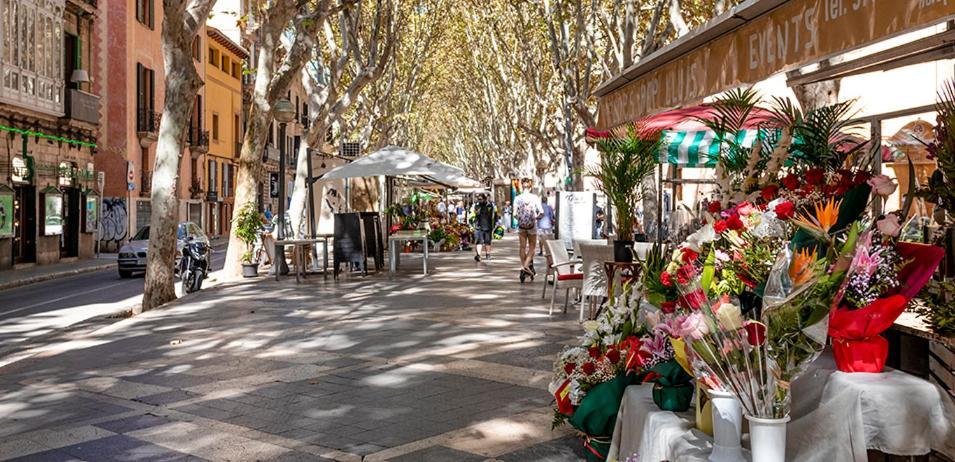 فندق Rambla Palma Center المظهر الخارجي الصورة