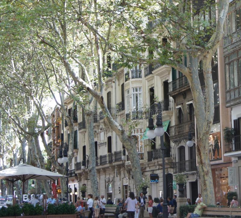 فندق Rambla Palma Center المظهر الخارجي الصورة